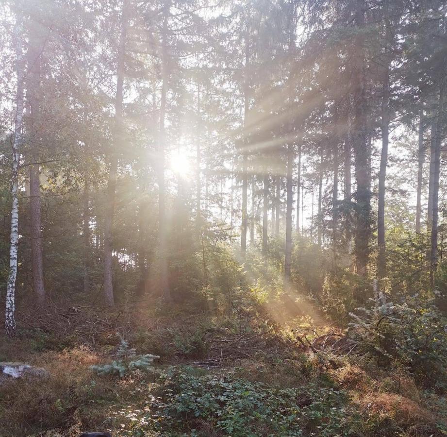 Boslodge 84 Vorden Exteriér fotografie