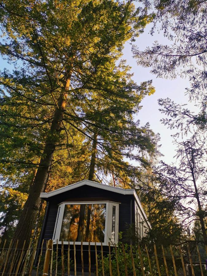 Boslodge 84 Vorden Exteriér fotografie